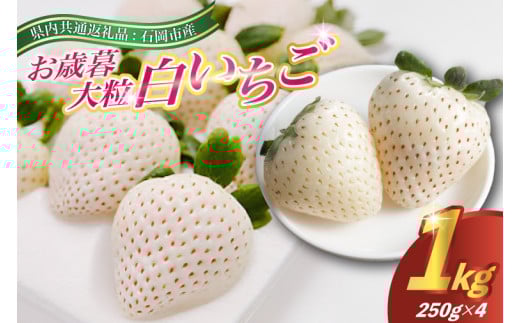 2025年12月より順次発送お歳暮白いちご大粒250g(8～12粒)×4pc県内共通返礼品:石岡市産 (BR033) 845966 - 茨城県城里町
