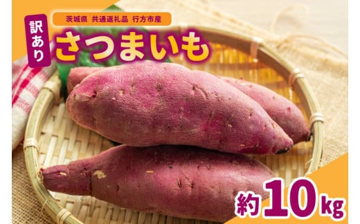 訳ありさつまいも 10kg 県共通返礼品 行方市産 (BR148) 1523806 - 茨城県城里町