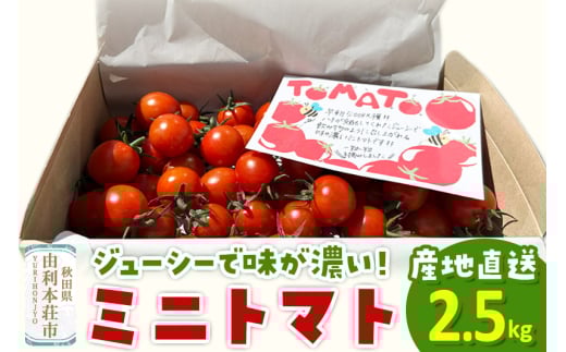 ミニトマト 2.5kg  秋田県 由利本荘市 1435716 - 秋田県由利本荘市
