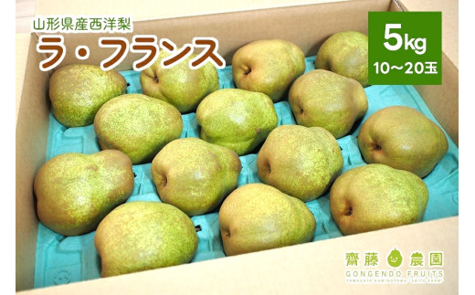 西洋梨(ラ・フランス)5kg ご家庭用 0037-2508 996606 - 山形県上山市