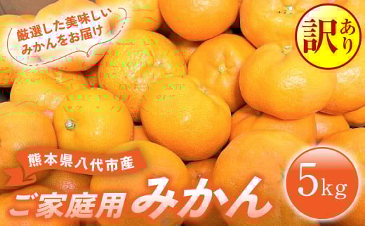 「八代よかとこ物産館」から厳選した旬の美味しいみかんをお届け致します。