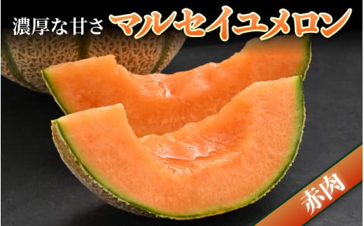 福井県あわら市のふるさと納税 【先行予約】佐藤農園のマルセイユメロン 約3kg前後《秀品》(2～3玉入）深みのある甘さ とろける濃厚な赤肉！農家直送 有機肥料 低農薬 ※2025年6月上旬より順次発送予定 [aw069-a002]