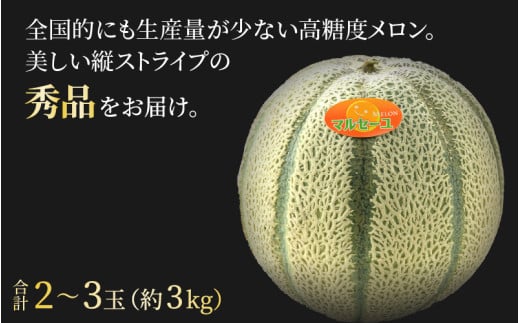 福井県あわら市のふるさと納税 【先行予約】佐藤農園のマルセイユメロン 約3kg前後《秀品》(2～3玉入）深みのある甘さ とろける濃厚な赤肉！農家直送 有機肥料 低農薬 ※2025年6月上旬より順次発送予定 [aw069-a002]