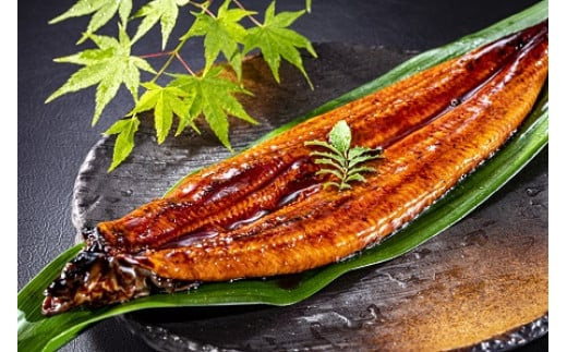 福岡県宇美町のふるさと納税 うなぎ 小分け 蒲焼 4尾 特大サイズ 約 1.5kg 肉厚 タレ・山椒付 茶葉蒸し [大黒物産 福岡県 宇美町 um40bak830002] 鰻 ウナギ うなぎ蒲焼 鰻蒲焼き 訳あり 蒲焼き かば焼き 真空パック 個包装 冷凍 unagi