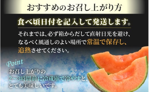 福井県あわら市のふるさと納税 【先行予約】佐藤農園のマルセイユメロン 約3kg前後《秀品》(2～3玉入）深みのある甘さ とろける濃厚な赤肉！農家直送 有機肥料 低農薬 ※2025年6月上旬より順次発送予定 [aw069-a002]