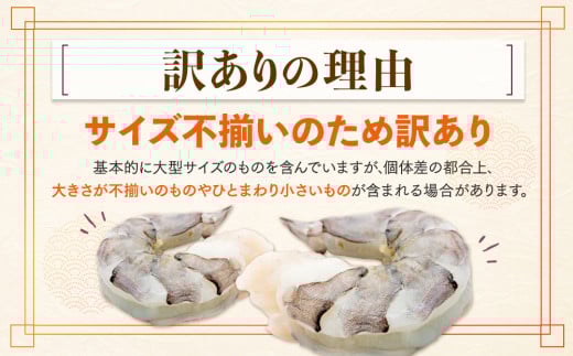 高知県須崎市のふるさと納税 むきエビ 高級 ブラックタイガー 2.6kg 保水剤 無添加 背ワタなし 冷凍 下処理済 訳あり サイズ不揃い エビ 海老 人気 殻 むき 時短 便利 簡単調理 大容量 無保水 えび むきえび ムキエビ