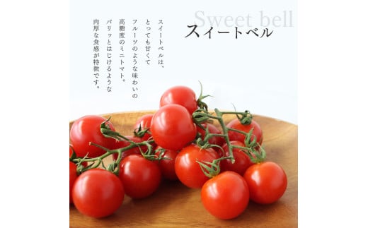 はじけるような肉厚食感のミニトマトです。