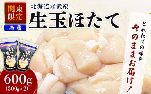 関東限定 生ほたて 期間限定 北海道雄武産 生玉ほたて 300g×2 塩水パック 冷蔵 | 配送地域限定 生ホタテ 新鮮 ホタテ 帆立 ほたて 大粒 生 生玉 冷蔵 塩水パック 塩水 未冷凍 オホーツク オホーツク産 オンライン 刺身 魚貝 魚介 海鮮 海産 海産物 魚介類 ふるさと納税  雄武町 雄武漁業協同組合 北海道【07151】 2072509 - 北海道雄武町