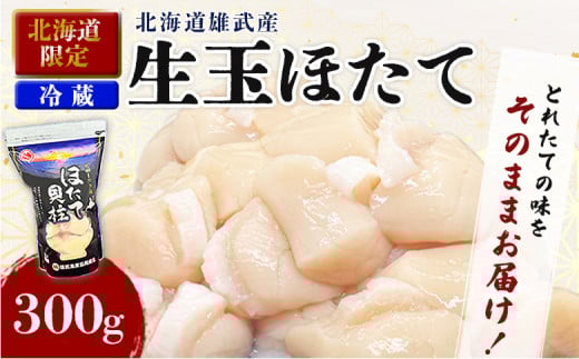 【北海道限定！生ほたて】《期間限定》北海道雄武産 生玉ほたて 300ｇ 塩水パック(冷蔵) ｜北海道限定 生玉ホタテ 生ホタテ　大粒 ホタテ 帆立 ほたて 新鮮 300g 生 冷蔵 塩水パック オホーツク 北海道 雄武町 雄武 刺身 魚【07150】 2072508 - 北海道雄武町