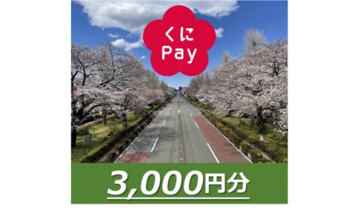 国立市デジタル地域通貨『くにPay』3,000ポイント【1582539】 1920734 - 東京都国立市