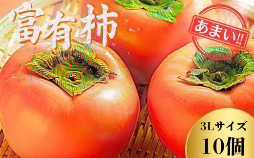 【先行予約】Farm m&aの富有柿 3L×10個 秀品 岐阜県 大野町（2025年11月下旬～発送）農家直送 果物 フルーツ 秋の味覚 柿 かき 富有 ふゆう 2051971 - 岐阜県大野町