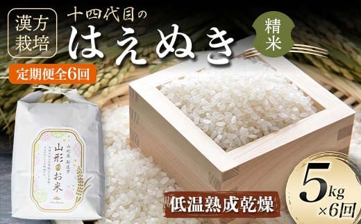 定期便 全6回 漢方栽培 低温熟成乾燥 十四代目のはえぬき（精米）5kg 米 お米 おこめ 山形県 新庄市 F3S-2413 1341612 - 山形県新庄市