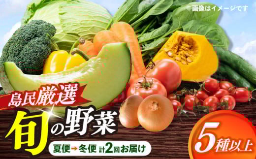 【先行受付】【夏季初回発送】小値賀島で育った新鮮野菜おまかせセット　夏季1回・冬季1回お届け [DAB080]
