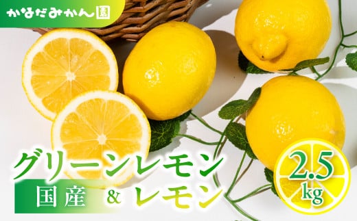 旬のレモン 2.5kg レモン グリーンレモン 檸檬 緑 グリーン レモン 柑橘 柑橘類 フルーツ 果物 旬 レモネード レモン ケーキ レモンティー に 愛知県 田原市 渥美半島