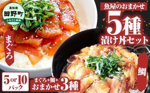 2月下旬より発送】 せとか 3kg 【特級品】 みかん 柑橘 果物