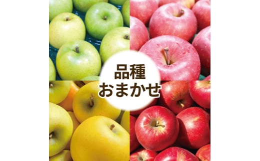 ＜25年11月出荷＞りんご 品種おまかせ 約3kg 訳あり【1612938】 2078278 - 青森県青森市