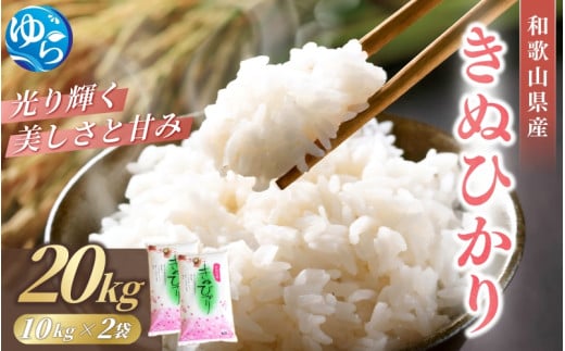 ＼レビューキャンペーン中/米 キヌヒカリ 20kg(10kg×2) 和歌山県産 [2024年産][SL26] / お米 きぬひかり 白米 由良町 令和6年 人気 おすすめ[sml910]
