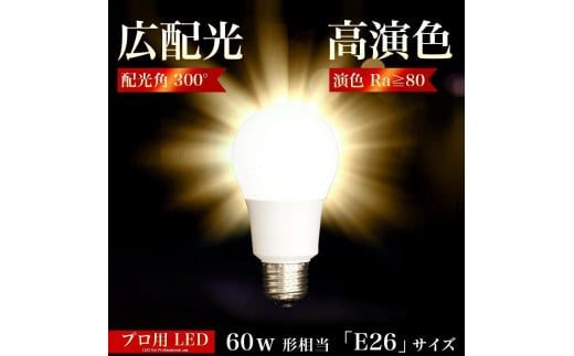 LED電球 E26サイズ 2700K 電球色 約W600mm×H1120mm AKU101166101 2072703 - 和歌山県海南市
