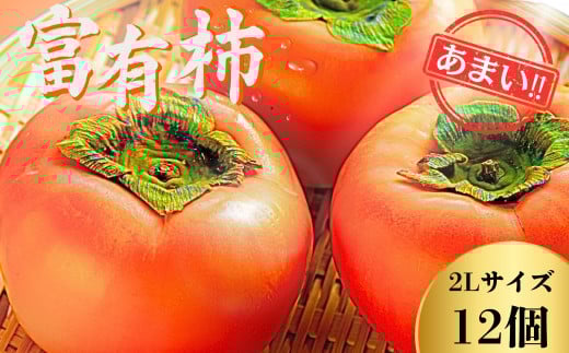 【先行予約】Farm m&aの富有柿 2L×12個 秀品 岐阜県 大野町（2025年11月下旬～発送）農家直送 果物 フルーツ 秋の味覚 柿 かき 富有 ふゆう