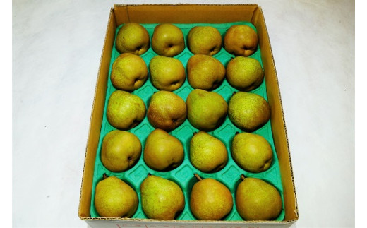 ラ・フランス 4.6kg 20玉 M・Lサイズ混合 ご家庭用 0012-2514 330948 - 山形県上山市