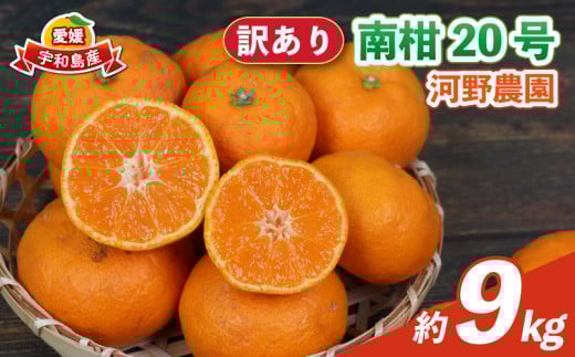訳あり 南柑20号 9kg 河野農園 温州みかん みかん 人気のみかん 美味しいみかん 濃厚みかん 温州蜜柑 愛媛みかん 愛媛蜜柑 愛媛ミカン 蜜柑 mikan 温州 柑橘 果物 くだもの 訳アリ 訳あり品 訳有り わけあり フルーツ 産地直送 数量限定 先行予約 国産 愛媛 宇和島 B010-147004 1425863 - 愛媛県宇和島市
