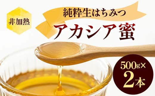 非加熱 純粋生はちみつ アカシア蜜 1kg  ハチミツ 蜂蜜 健康食品 ダイエット ビタミン F21C-150