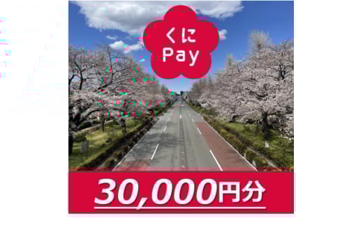 国立市デジタル地域通貨『くにPay』30,000ポイント【1587151】 1920738 - 東京都国立市