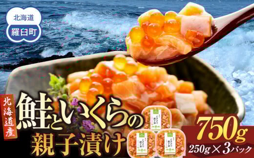 【2025年5月発送】北海道産 鮭といくらの親子漬け 750g （250g × 3パック） 小分け 国産 北海道 羅臼 サケ さけ シャケ しゃけ イクラ 魚卵 鮭卵 醤油漬け しょうゆ漬け 親子丼 海鮮丼 ご飯のお供 おかず おつまみ 一人暮らし おすそわけ 魚介類 生産者 支援 応援 2052325 - 北海道羅臼町