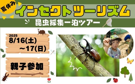 [昆虫採集一泊ツアー]インセクトツーリズム 2025/8/16(土)〜17(日) 大人1名 子ども1名 一泊二日 宿泊 チケット カブトムシ クワガタ 虫 昆虫 採集 体験 観察 夏休み 自由研究 自然 福島県 田村市 ムシムシランド