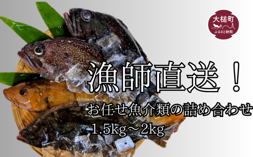 漁師直送！お任せ魚介類の詰め合わせ 1.5kg～2kg 【オリジナルクリアファイル付き】【期間限定1月～3月発送】 2119150 - 岩手県大槌町