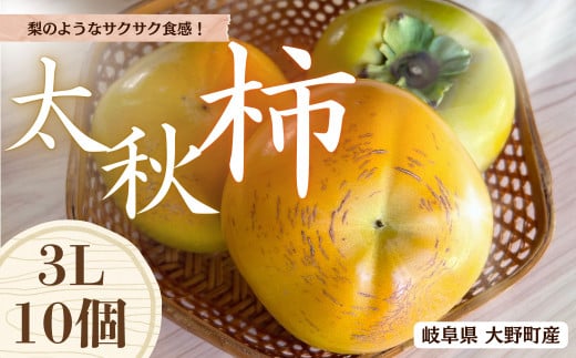 【先行予約】梨のような食感！ Farm m&aの太秋柿 3L×10個 秀品 岐阜県 大野町（2025年10月中旬～発送）農家直送 果物 フルーツ 秋の味覚 柿 かき 太秋 たいしゅう 2051973 - 岐阜県大野町