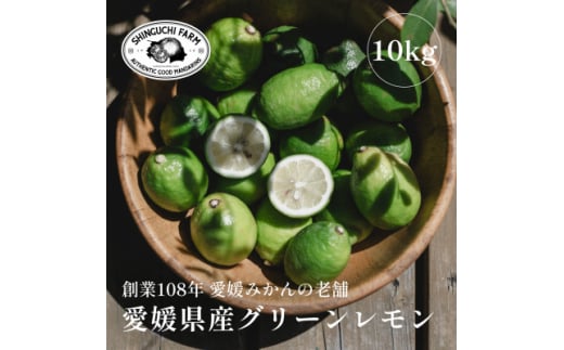 ＜防腐剤・ワックス不使用＞愛媛県産グリーンレモン 10kg＜H70-49＞【1550663】