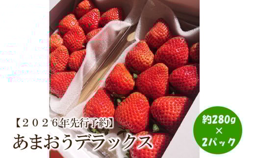 【2026年先行予約】あまおうデラックス(2パック)【044-0059】