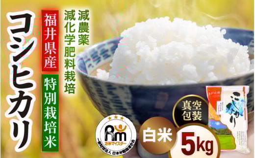 【期間限定】＜真空包装＞ 令和6年産 米 5kg 精米 減農薬減化学肥料栽培 コシヒカリ 福井県産米《14日以内に出荷予定》【白米 5キロ こしひかり 真空パック お米 人気品種 産地直送 新生活 kome】 [e66-a006] 2095915 - 福井県越前町