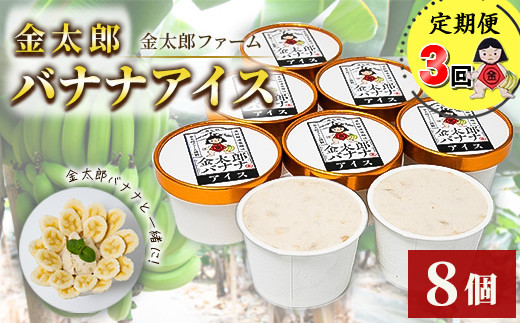 定期便：金太郎バナナアイス（24個）：8個×3回（毎月お届け） 毎栽培期間中農薬不使用 【国産 ギフト プレゼント 贈り物 お返し おいしい 果物 くだもの フルーツ お歳暮 お中元 】 1475842 - 神奈川県南足柄市