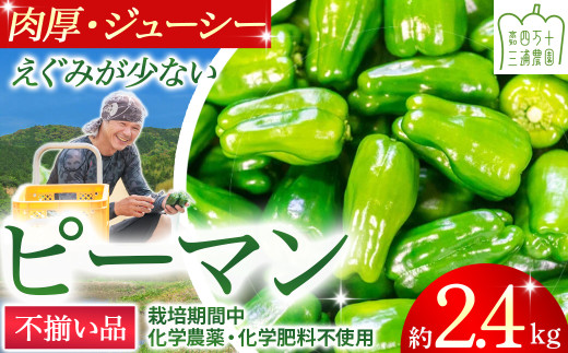 【不揃い品】肉厚ジューシー! 栽培期間中化学農薬・化学肥料不使用のえぐみ少ないピーマン2.4Kg ／Fms-12 農産物 新鮮 ぴーまん ピーマン 肉厚ピーマン 野菜 大量 2016906 - 高知県四万十町