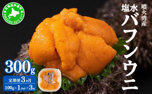 [5525-0992]【定期便3カ月】北海道 噴火湾産 塩水 バフンウニ 100g 1パック うに ウニ 雲丹 海鮮 海の幸 魚介類 ウニ丼 お寿司 濃厚 無添加 産地直送 産直 お取り寄せ 山村水産 送料無料 1362691 - 北海道伊達市