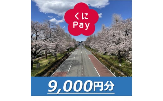 国立市デジタル地域通貨『くにPay』9,000ポイント【1587149】 1920736 - 東京都国立市