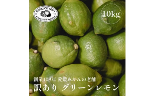 ＜防腐剤・ワックス不使用＞愛媛県産＜訳あり＞グリーンレモン 10kg＜F70-54＞【1550697】 1492762 - 愛媛県八幡浜市