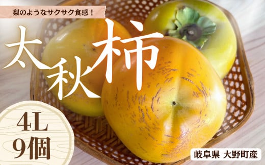 【先行予約】梨のような食感！ Farm m&aの太秋柿 4L×9個 秀品 岐阜県 大野町（2025年10月中旬～発送）農家直送 果物 フルーツ 秋の味覚 柿 かき 太秋 たいしゅう 2051974 - 岐阜県大野町