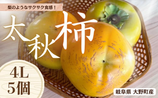 【先行予約】 梨のような食感！ Farm m&aの太秋柿 4L×5個 秀品 岐阜県 大野町（2025年10月中旬～発送）農家直送 果物 フルーツ 秋の味覚 柿 かき 太秋 たいしゅう 2051975 - 岐阜県大野町