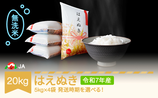 【先行予約】新米 米 20kg 5kg×4 はえぬき 無洗米 令和7年産 2026年3月中旬 ja-hamxa20-3b 909764 - 山形県村山市
