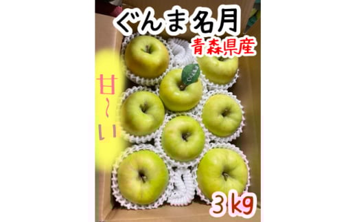 先行受付＜青森市産・ぐんま名月＞約3kg(家庭用)【1613750】 2078292 - 青森県青森市
