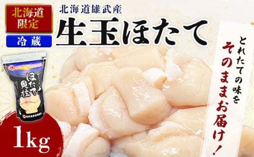 【北海道限定！】北海道雄武町産　生玉ほたて500ｇ×2塩水パック（冷蔵）｜北海道限定 生玉ホタテ 生ホタテ　大粒 ホタテ 帆立 ほたて 新鮮 500g×2 1ｋg 生 冷蔵 塩水パック オホーツク 北海道 雄武町 雄武 刺身【0713301】 1395697 - 北海道雄武町