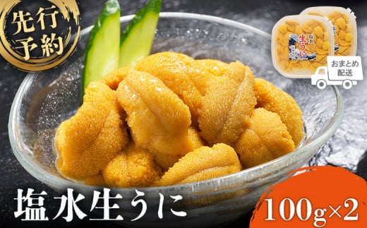 【6月上旬〜8月中旬発送予定】北海道産 塩水ウニ 100g×2