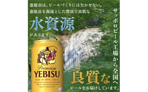 『定期便：全2回』ヱビスビール350ml×24本