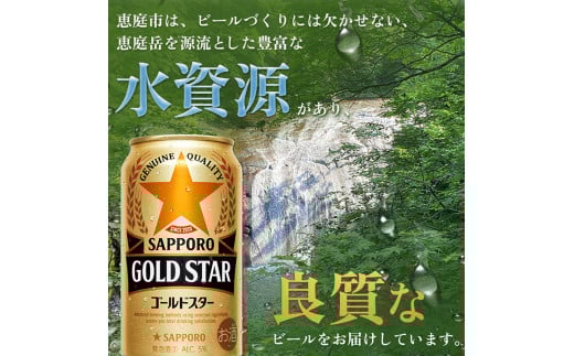 『定期便：全2回』GOLDSTAR 350×24本 ゴールドスター