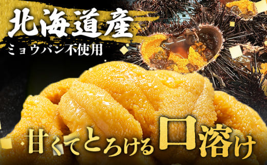 【6月上旬〜8月中旬発送予定】北海道産 塩水ウニ 100g×２