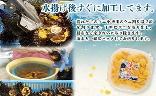 【6月上旬〜8月中旬発送予定】北海道産 塩水ウニ 100g×２