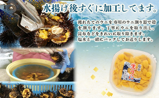 【6月上旬〜8月中旬発送予定】北海道産 塩水ウニ 100g